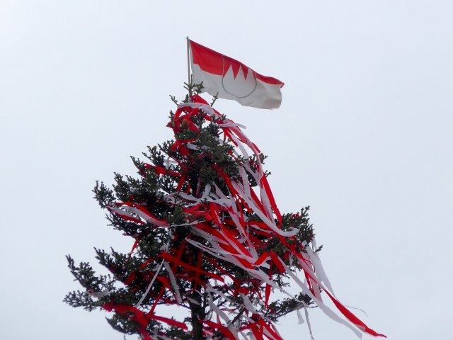 Kirchweih Tennenlohe 2016: Baumspitze mit fränkischer Flagge